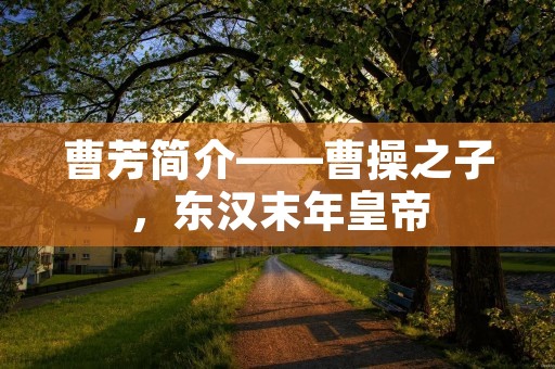 曹芳简介——曹操之子，东汉末年皇帝
