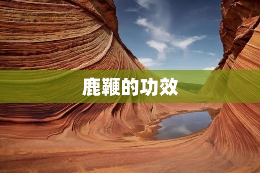 鹿鞭的功效：保健养生的神奇之物