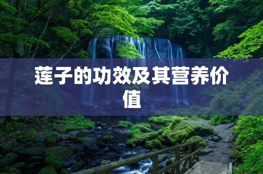 莲子的功效及其营养价值 莲子的功效及其营养价值