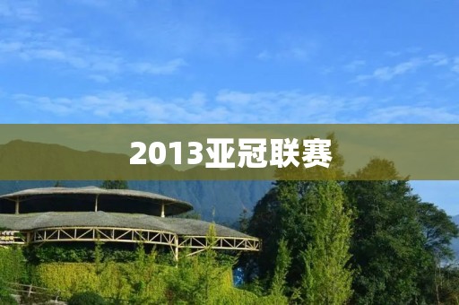 2013亚冠联赛：广州恒大夺冠