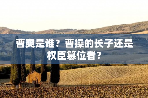 曹爽是谁？曹操的长子还是权臣篡位者？
