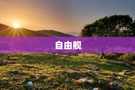 自由舰：未来战争的主力战舰