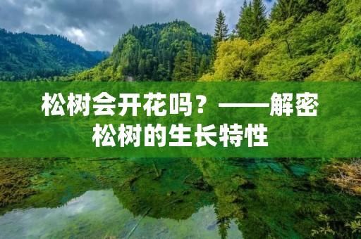 松树会开花吗？——解密松树的生长特性