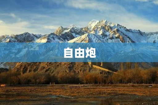 自由炮：追求自由的新潮流