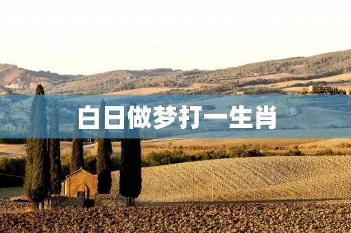 白日做梦打一生肖