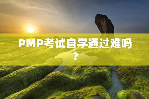 PMP考试自学通过难吗?