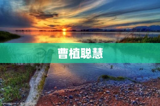 曹植聪慧:千古才子的智慧之光 曹植聪慧:千古才子的智慧之光