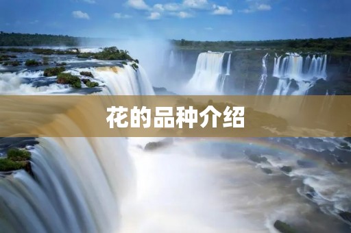 花的品种介绍 花的品种介绍