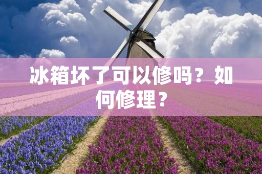 冰箱坏了可以修吗?如何修理? 冰箱坏了可以修吗?如何修理?