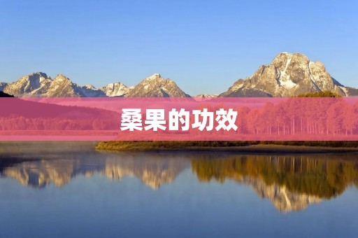 桑果的功效:预防糖尿病、降血压、美容养颜的好帮手 桑果的功效:预防糖尿病、降血压、美容养颜的好帮手