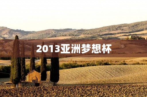 2013亚洲梦想杯：青年梦想的舞台