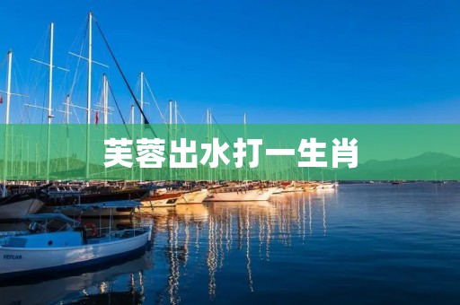 芙蓉出水打一生肖