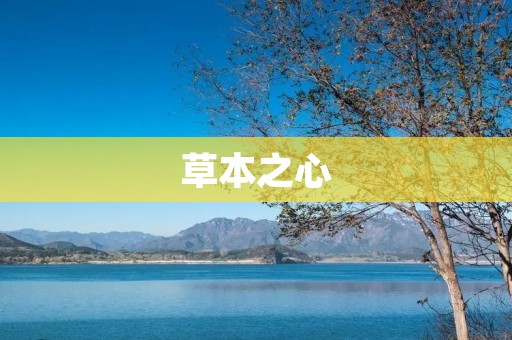 草本之心：自然疗法的新选择
