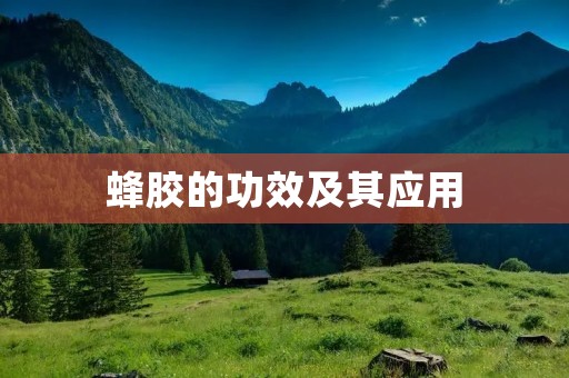 蜂胶的功效及其应用 蜂胶的功效及其应用