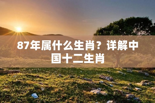 87年属什么生肖？详解中国十二生肖