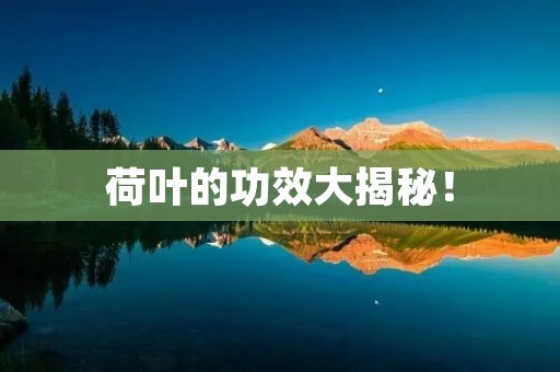 荷叶的功效大揭秘！