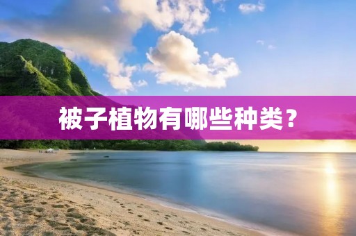 被子植物有哪些种类？
