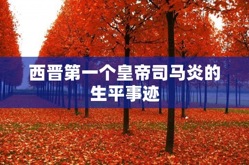 西晋第一个皇帝司马炎的生平事迹 西晋第一个皇帝司马炎的生平事迹