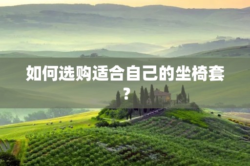 如何选购适合自己的坐椅套? 如何选购适合自己的坐椅套?