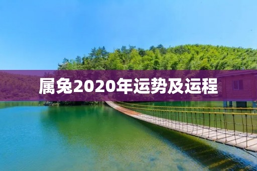 属兔2020年运势及运程：好运连连，贵人相助