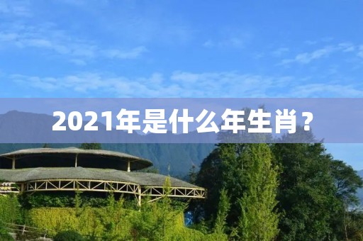 2021年是什么年生肖？