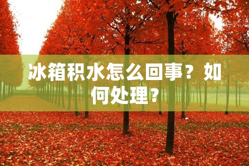 冰箱积水怎么回事？如何处理？