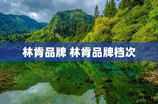 林肯品牌 林肯品牌档次