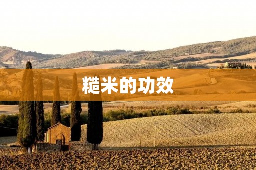 糙米的功效：为什么它是健康饮食的首选？