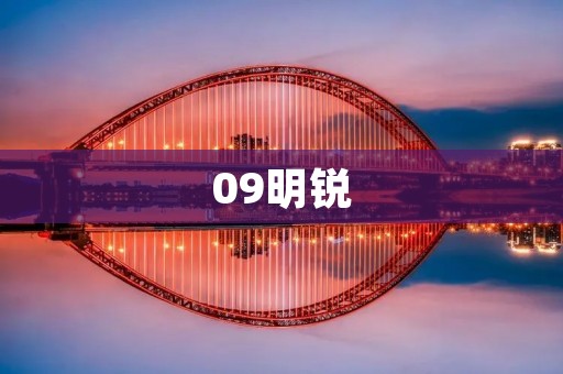 09明锐：一款经典的家用轿车