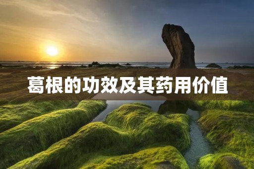 葛根的功效及其药用价值 葛根的功效及其药用价值