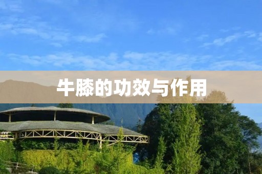 牛膝的功效与作用