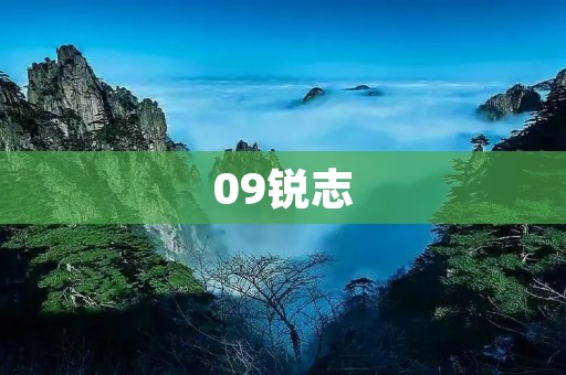 09锐志:华丽转身,绝不平庸 09锐志:华丽转身,绝不平庸