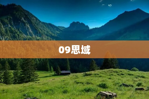 09思域:时尚外观与出色性能的完美结合 09思域:时尚外观与出色性能的完美结合
