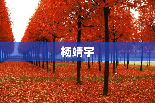 杨靖宇:以血染红旗的英雄 杨靖宇:以血染红旗的英雄