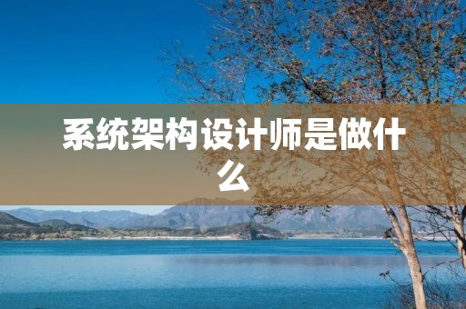 系统架构设计师是做什么