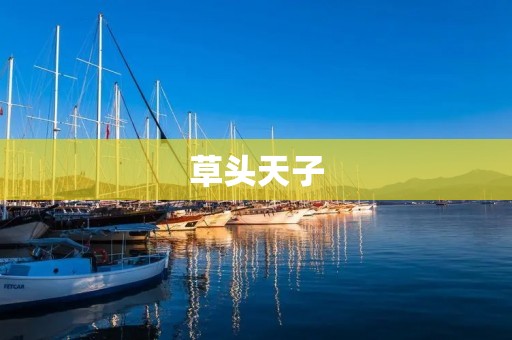 草头天子:一位传奇的民间英雄 草头天子:一位传奇的民间英雄