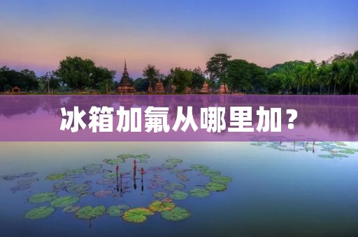 冰箱加氟从哪里加? 冰箱加氟从哪里加?