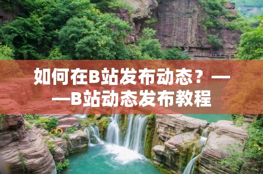 如何在B站发布动态?——B站动态发布教程 如何在B站发布动态?——B站动态发布教程