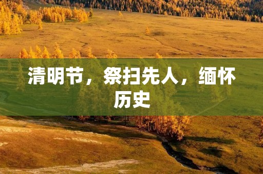 清明节,祭扫先人,缅怀历史