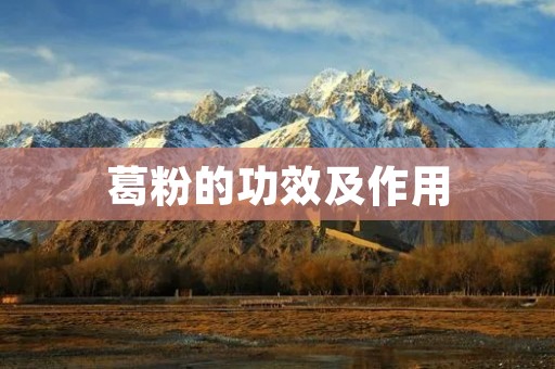 葛粉的功效及作用 葛粉的功效及作用