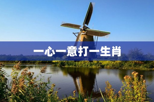 一心一意打一生肖