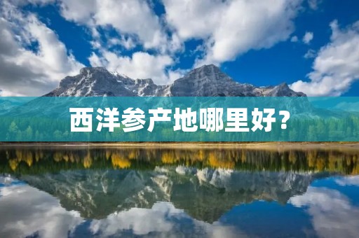 西洋参产地哪里好？