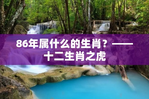 86年属什么的生肖？——十二生肖之虎