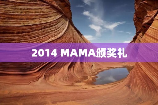 2014 MAMA颁奖礼:亚洲音乐盛典 2014 MAMA颁奖礼:亚洲音乐盛典