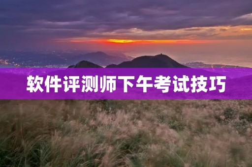软件评测师下午考试技巧