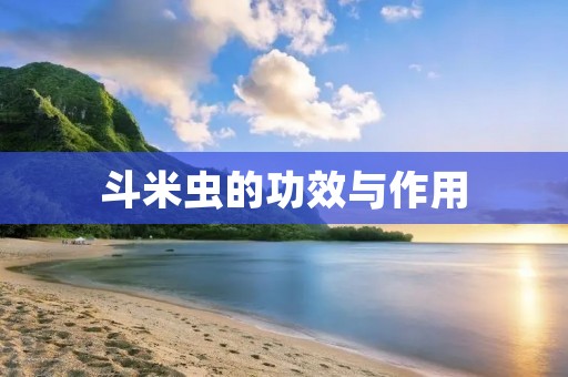 斗米虫的功效与作用