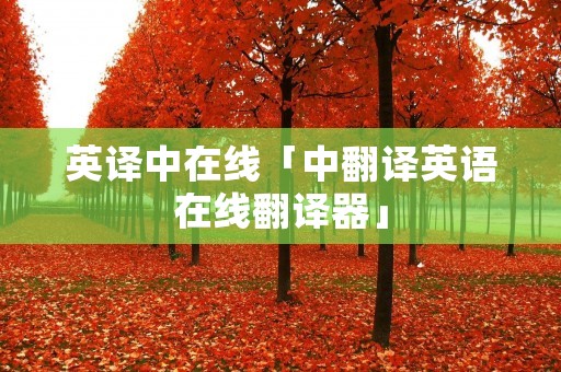 英译中在线「中翻译英语在线翻译器」