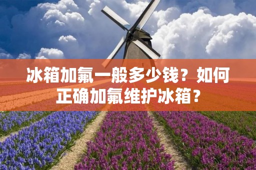冰箱加氟一般多少钱？如何正确加氟维护冰箱？