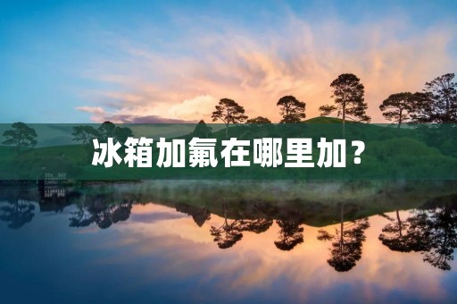 冰箱加氟在哪里加？