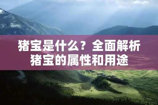猪宝是什么?全面解析猪宝的属性和用途 猪宝是什么?全面解析猪宝的属性和用途